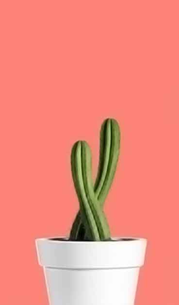 网站ddos隐藏源ip